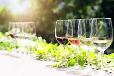 Tour privato di degustazione di vini della Valtenesi